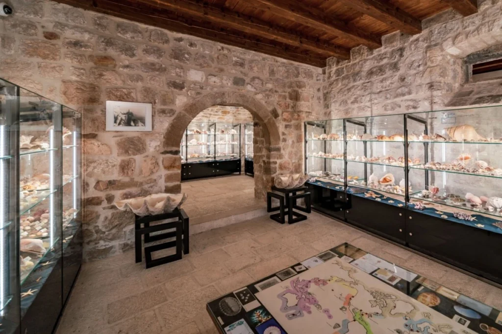 What to do and see in Makarska 3 malakoloski muzej makarska1 1200x800 1